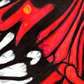 Scarlet Peacock Painting by Misty Morehead Scarlet Peacock Painting by Misty Morehead