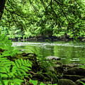 Schroon River Adirondacks Photograph by Louis Dallara Schroon River Adirondacks Photograph by Louis Dallara