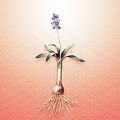 Scilla Lingulata Vintage Botanical in Peach Fuzz Seigaiha Wave Pattern n.1848 by Holy Rock Design