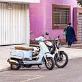 Scooter Pair by Leslie Brashear