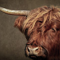 Scottish Highlander Portrait Digital Art by Marjolein Van Middelkoop Scottish Highlander Portrait Digital Art by Marjolein Van Middelkoop