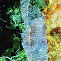 Sea And Sands of Brazil Digital Art by Phil Perkins Sea And Sands of Brazil Digital Art by Phil Perkins