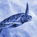 Sea Turtle 2 in Blue Painting by Hailey E Herrera Sea Turtle 2 in Blue Painting by Hailey E Herrera