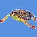 Sea Turtle 3 - solid background Painting by Hailey E Herrera Sea Turtle 3 - solid background Painting by Hailey E Herrera