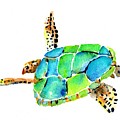 Sea Turtle Painting by Carlin Blahnik CarlinArtWatercolor Sea Turtle Painting by Carlin Blahnik CarlinArtWatercolor