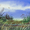 Seacoast Meadow by James Williamson