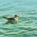 Seagull Painting by Alexa Szlavics Seagull Painting by Alexa Szlavics