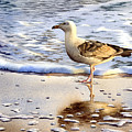 Seagull in the Golden Afternoon Painting by Espero Art Seagull in the Golden Afternoon Painting by Espero Art