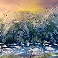 Seagull sunset by Debbie Hornibrook