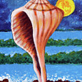 Seashell one by John Lautermilch