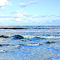 Seashore along the Outer Banks by Tracy Ruckman Seashore along the Outer Banks by Tracy Ruckman