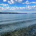 Seashore Photograph by Anamar Pictures Seashore Photograph by Anamar Pictures