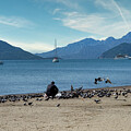 Seaside Serenity - Feeding the Flock by Stuart Chard