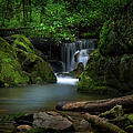 Secluded Waterfall Photograph by Shelia Hunt Secluded Waterfall Photograph by Shelia Hunt