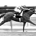 Secretariat, Belmont Stakes, back stretch Mixed Media by Thomas Pollart Secretariat, Belmont Stakes, back stretch Mixed Media by Thomas Pollart