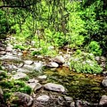 Sedona River #2 by Cherry Vercher