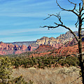 Sedona Photograph by Sarah Lilja Sedona Photograph by Sarah Lilja