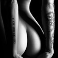 Sensual Nude Woman 4 Photograph by Johan Swanepoel Sensual Nude Woman 4 Photograph by Johan Swanepoel