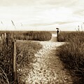 Sepia Shore at Myrtle Beach by Bob Pardue