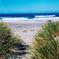 September Beach by Deahn Benware