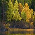 Serene Gull Lake Marina in Fall by Bonnie Colgan