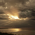 Serene Lake Sunbeams by Vi Ray