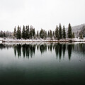 Serene Snowy Forest Reflection by Thomas Nay