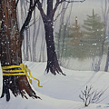 Serene Winter Forest by James Williamson