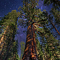 Serenity by Moonlight Photograph by Dan Carmichael Serenity by Moonlight Photograph by Dan Carmichael
