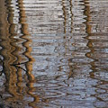 Serenity Photograph by Heather E Harman Serenity Photograph by Heather E Harman