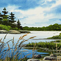 Serenity of the Coast by James Williamson