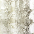 Shades of Gray I by Chris Paschke