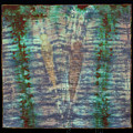 Shadow in the Sand Mixed Media by Vivian Aumond Shadow in the Sand Mixed Media by Vivian Aumond