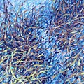 Shadows On Snow detail by Wendy West