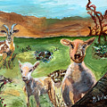 Sheep Before Goats by Genevieve Holland