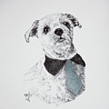 Shih Tzu with Necktie by Terri Mills