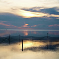 Shimmering Dawn Photograph by David Desautel Shimmering Dawn Photograph by David Desautel