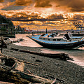 Shipwreck After the Storm Photograph by Rob Green Shipwreck After the Storm Photograph by Rob Green