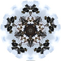 Shoefiti Pentakaleidogram by Brian Gryphon
