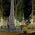 Shrewsbury Town Common Photograph by Monika Salvan Shrewsbury Town Common Photograph by Monika Salvan