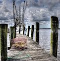 Shrimping Photograph by Randall Dill Shrimping Photograph by Randall Dill