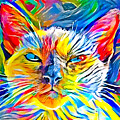 Siamese cat face in the sun - colorful zebra pattern painting Digital Art by Nicko Prints Siamese cat face in the sun - colorful zebra pattern painting Digital Art by Nicko Prints