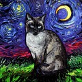 Siamese Night Painting by Aja Trier Siamese Night Painting by Aja Trier