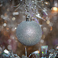 Silver Ball on Silver Tree Photograph by Lora J Wilson Silver Ball on Silver Tree Photograph by Lora J Wilson