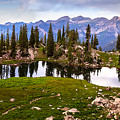Silver Glance Photograph by Ryan Smith