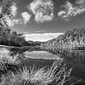 Silver Grasses at the Docks Black and White Photograph by Debra and Dave Vanderlaan Silver Grasses at the Docks Black and White Photograph by Debra and Dave Vanderlaan
