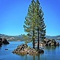 Silver Lake Cove Photograph by David Desautel Silver Lake Cove Photograph by David Desautel