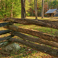 Simple Life by Melissa Southern