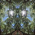 Simply Aware Earth Elemental Photograph by Soul Ecstatic Simply Aware Earth Elemental Photograph by Soul Ecstatic