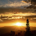 Single Tree Sunset Photograph by Wesley Aston Single Tree Sunset Photograph by Wesley Aston